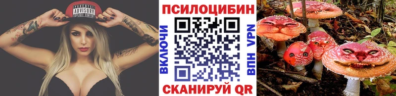 Псилоцибиновые грибы прущие грибы  Шлиссельбург 